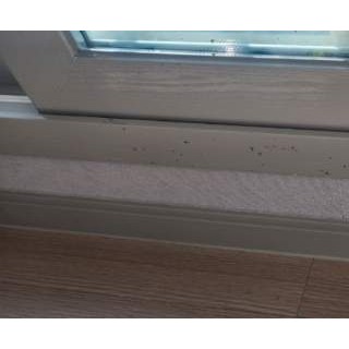 고양입주청소 #20