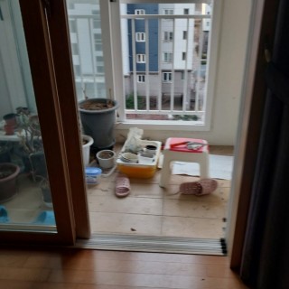 고양입주청소 #28